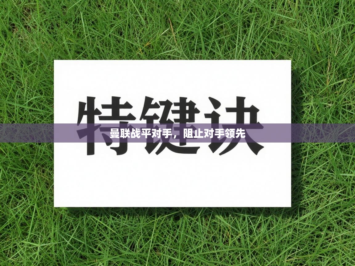 曼联战平对手，阻止对手领先  第2张