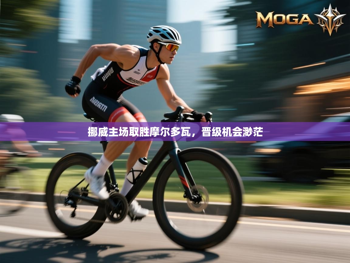 挪威主场取胜摩尔多瓦，晋级机会渺茫  第1张