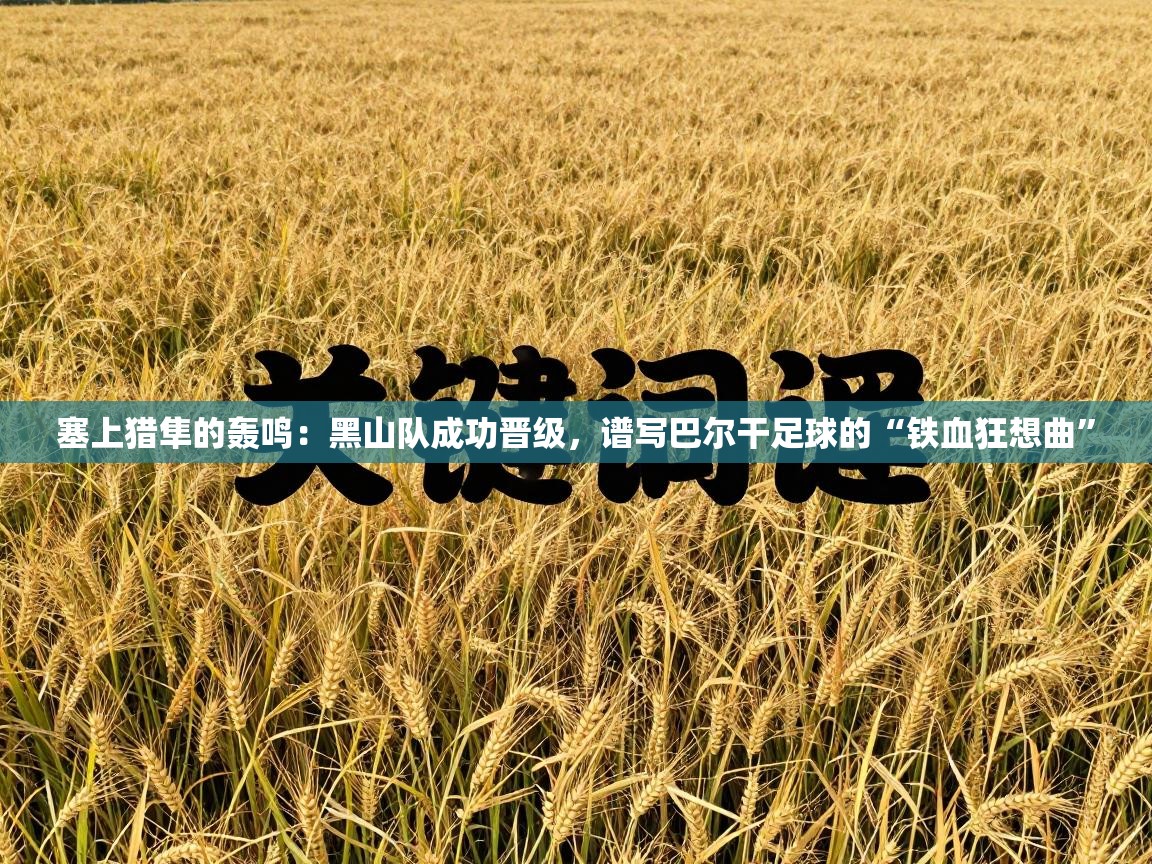 塞上猎隼的轰鸣：黑山队成功晋级，谱写巴尔干足球的“铁血狂想曲”