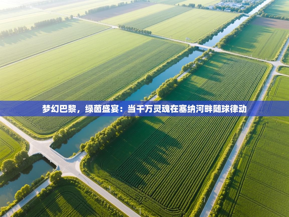 梦幻巴黎，绿茵盛宴：当千万灵魂在塞纳河畔随球律动  第1张