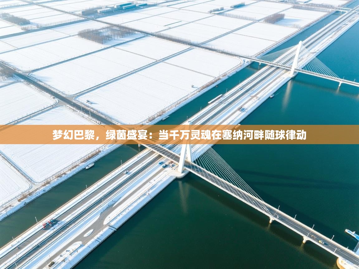 梦幻巴黎，绿茵盛宴：当千万灵魂在塞纳河畔随球律动  第2张