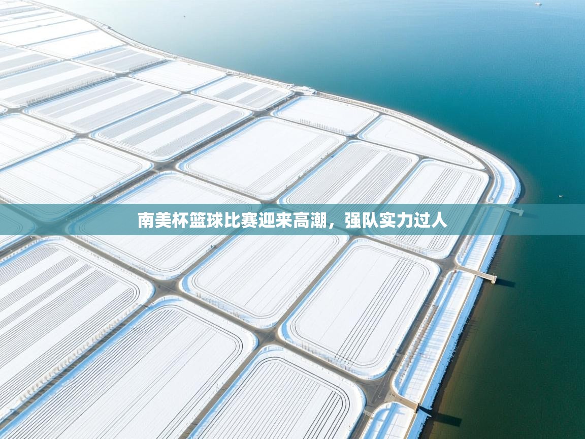 南美杯篮球比赛迎来高潮，强队实力过人  第1张